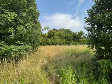 Property for Auction in East Anglia - Land off Mill Street, Necton, Swaffham, Norfolk PE37 8EN