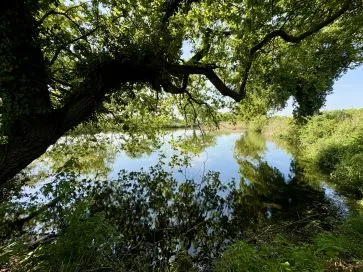 Property for Auction in East Anglia - Wood Farm, Colleen Close, Dereham, Norfolk NR19 1NL