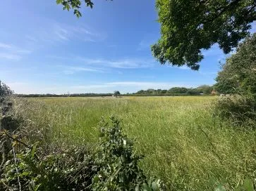 Property for Auction in East Anglia - Land off Low Street, Ilketshall St. Margaret, Bungay, Suffolk NR35 1QZ