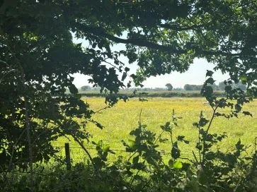 Property for Auction in East Anglia - Land off Low Street, Ilketshall St. Margaret, Bungay, Suffolk NR35 1QZ