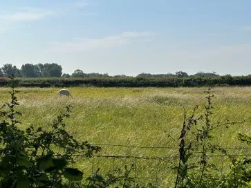 Property for Auction in East Anglia - Land off Low Street, Ilketshall St. Margaret, Bungay, Suffolk NR35 1QZ