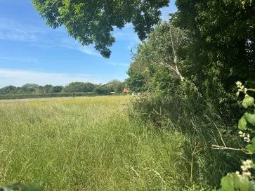 Property for Auction in East Anglia - Land off Low Street, Ilketshall St. Margaret, Bungay, Suffolk NR35 1QZ