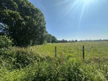 Property for Auction in East Anglia - Land off Low Street, Ilketshall St. Margaret, Bungay, Suffolk NR35 1QZ