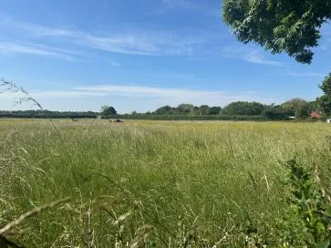 Property for Auction in East Anglia - Land off Low Street, Ilketshall St. Margaret, Bungay, Suffolk NR35 1QZ