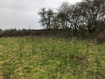 Property for Auction in Hull & East Yorkshire - Grass Paddock, Wyton Road, Preston HU12 8TT