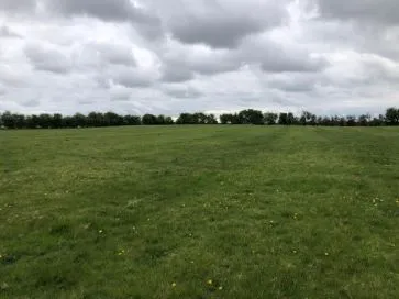 Property for Auction in Hull & East Yorkshire - Grassland, Beverley Road, Withernwick, East Riding of Yorkshire HU11 4TT