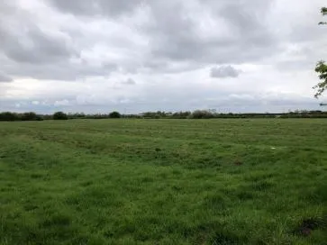 Property for Auction in Hull & East Yorkshire - Grassland, Beverley Road, Withernwick, East Riding of Yorkshire HU11 4TT