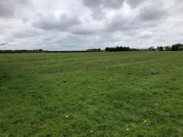 Property for Auction in Hull & East Yorkshire - Grassland, Beverley Road, Withernwick, East Riding of Yorkshire HU11 4TT