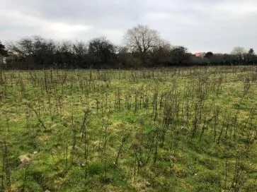 Property for Auction in Hull & East Yorkshire - Grass Paddock, Wyton Road, Preston, Hull, East Riding of Yorkshire HU12 8TT