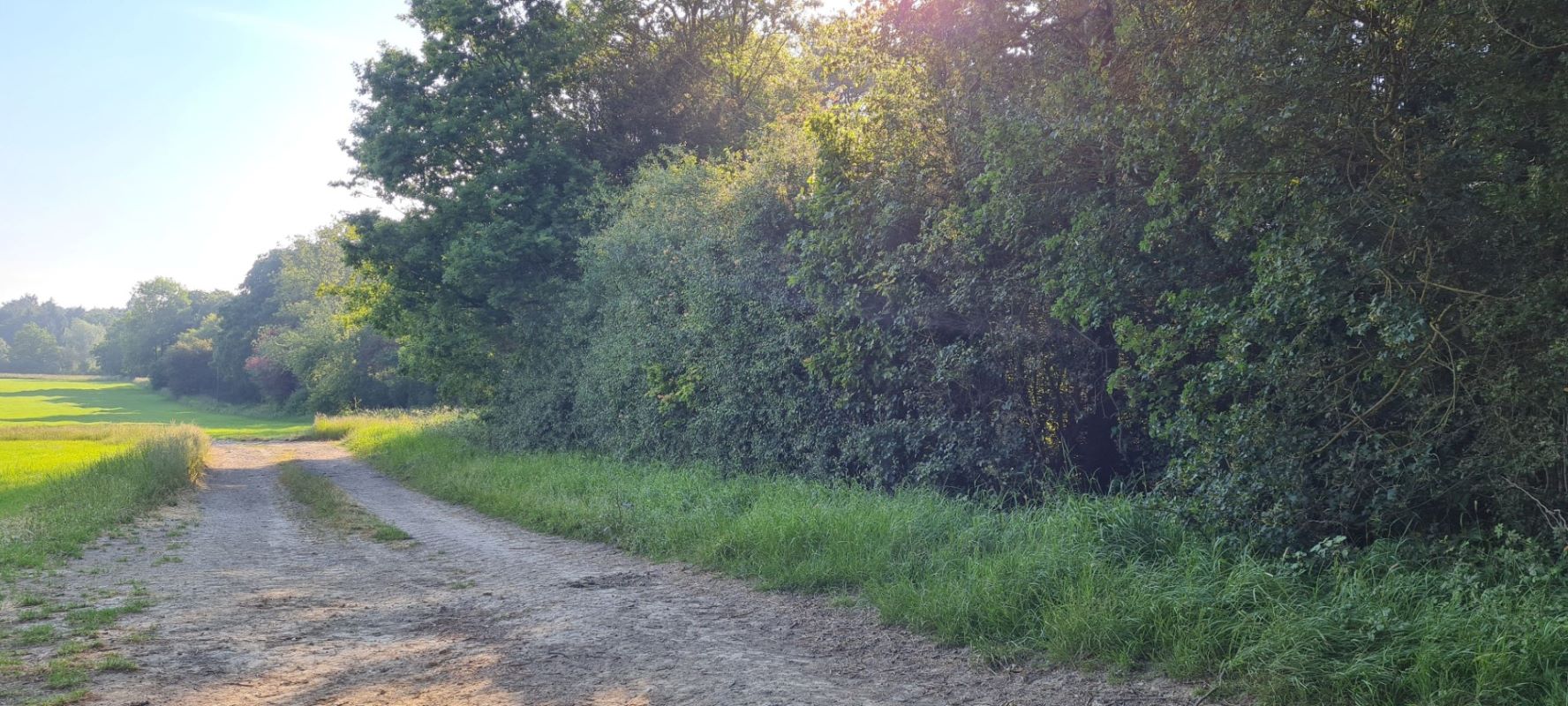 Ashford, Kent, TN27 8HF - Online Auctions