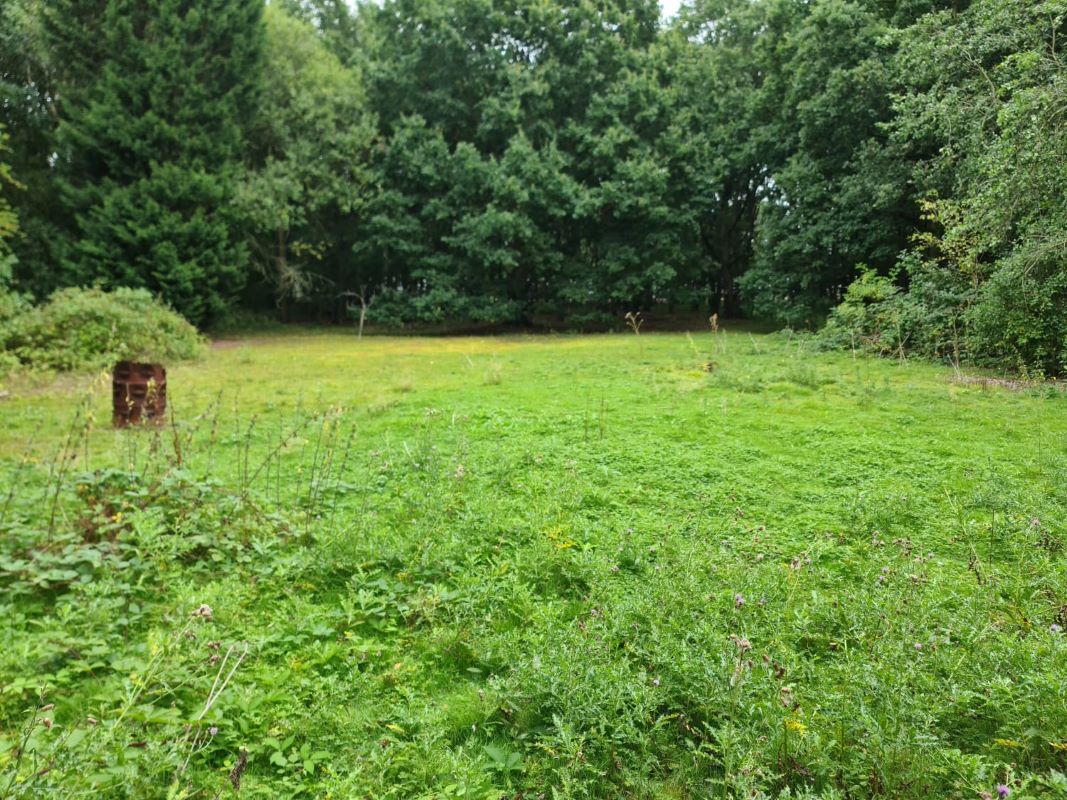 Great North Road, Bawtry, Doncaster, South Yorkshire, DN10 6DF - Online Auctions