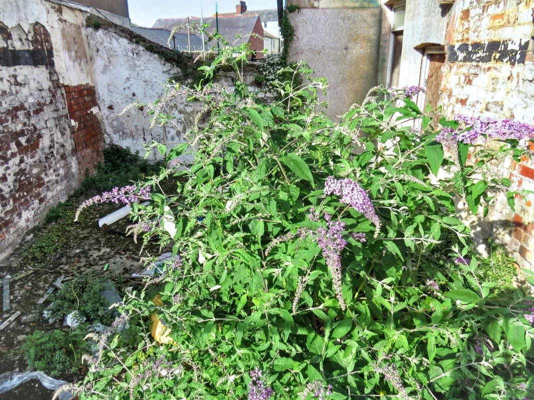 Fleetwood, Lancashire, FY7 6LN - Online Auctions