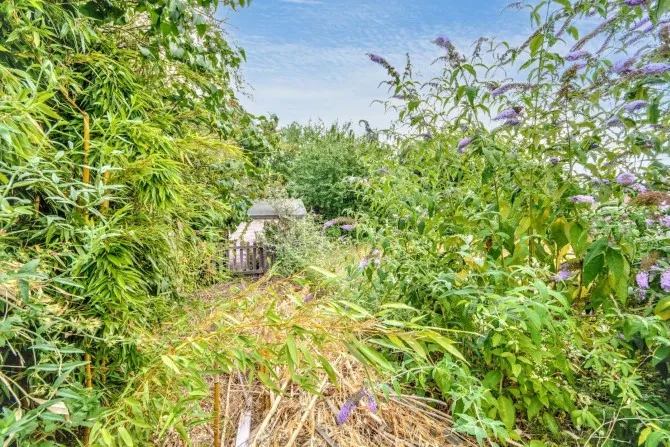 Property for Auction in London - 46 Elmstead Road, Colchester, Essex
