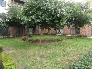 Property for Auction in London - 29 Watson Place, Croydon, Surrey