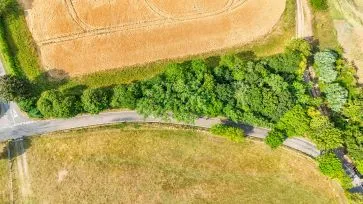 Property for Auction in Northamptonshire - The Three Cornered Field, Whiston, Northamptonshire NN7 1NN