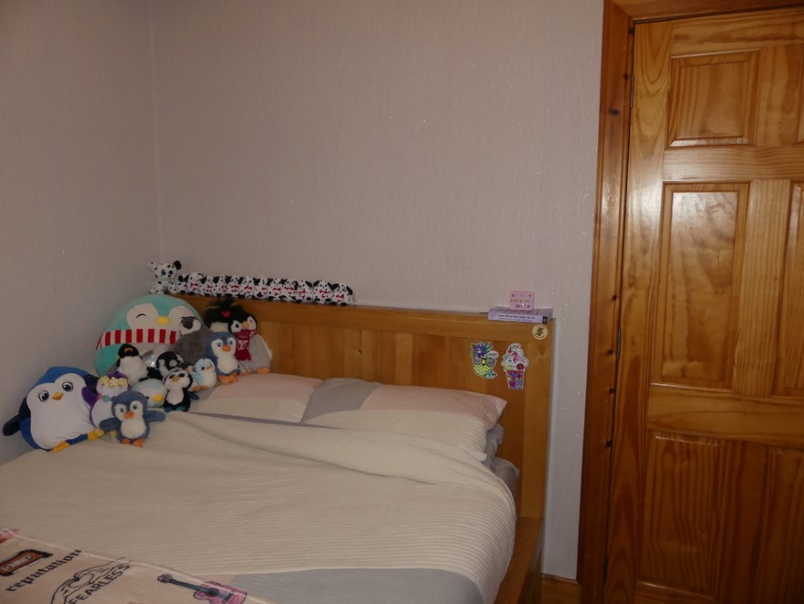 Property for Auction in Scotland - 19 Huddart Street, Wick, Caithness KW1 5AZ