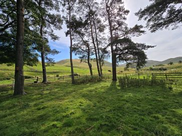 Property for Auction in Scotland - Peniel Revival Centre, Kelso, Roxburghshire TD5 8PP