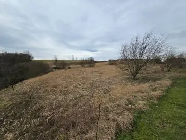 Property for Auction in Scotland - Plots adjacent to Brora Crescent, Hamilton, Lanarkshire ML3 8LF