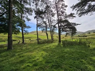 Property for Auction in Scotland - Peniel Revival Centre, Kelso, Roxburghshire TD5 8PP