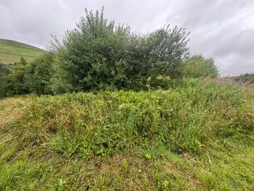 Property for Auction in Scotland - Plot at Hillside Drive, Galashiels TD1 2HN