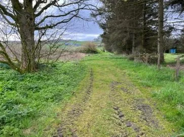 Property for Auction in Scotland - Site of former Willowbank Cottage, Auchnagatt, Ellon, Aberdeenshire AB41 8TA