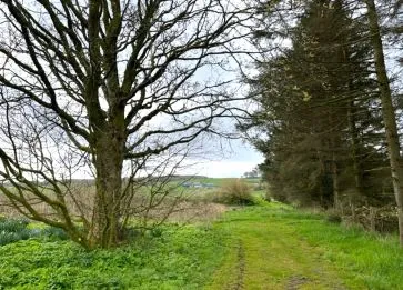 Property for Auction in Scotland - Site of former Willowbank Cottage, Auchnagatt, Ellon, Aberdeenshire AB41 8TA