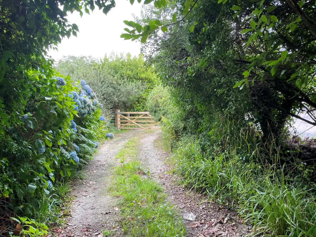 Madron, Penzance, Cornwall, TR20 8SS - Online Auctions