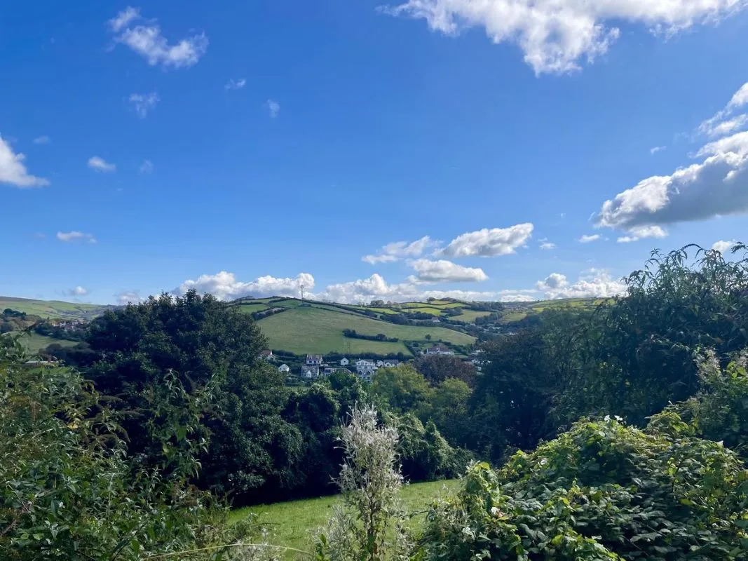 Hagginton Hill, Ilfracombe, Devon, EX34 9SB - Online Auctions