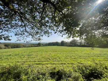 Property for Auction in South West - 3 Dartmoor Lodges, Honicombe Park, Road from Latchley Plain to Norris Green, St. Anns Chapel, Cornwall PL17 8JW