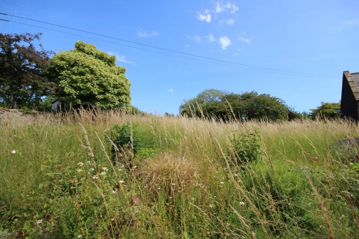 Beaminster, Dorset, DT8 3DZ - Online Auctions