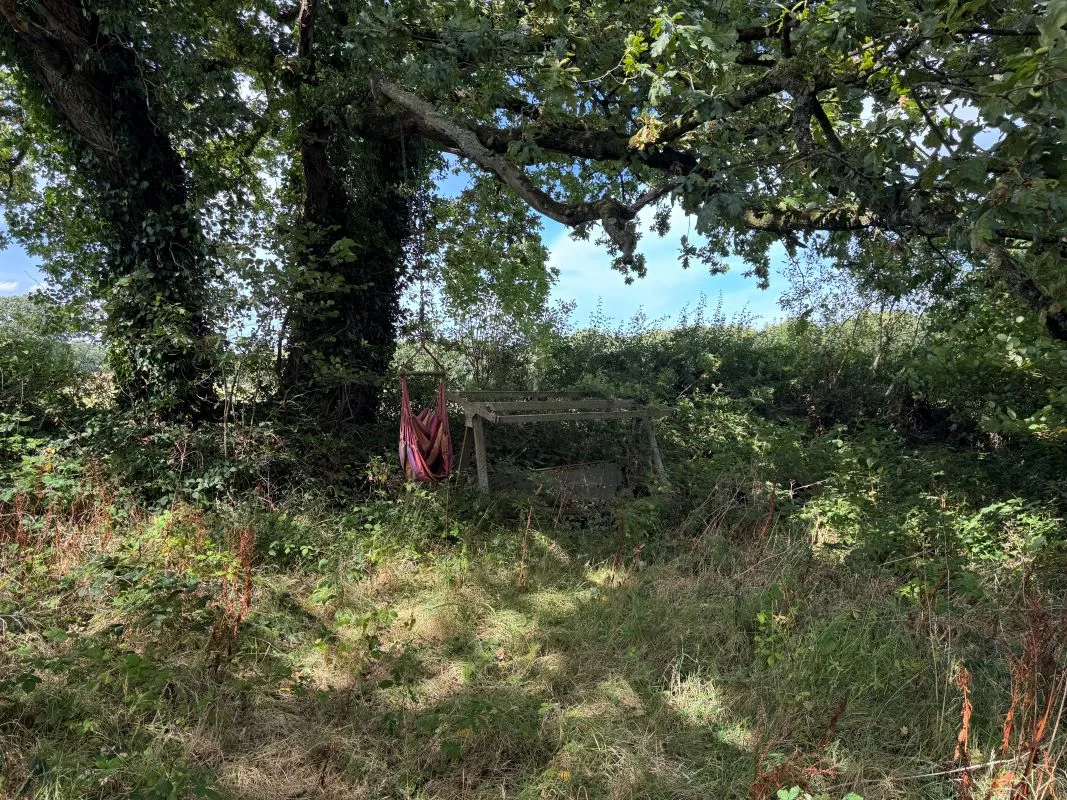 Down St. Mary, Crediton, Devon, EX17 6DS - Online Auctions