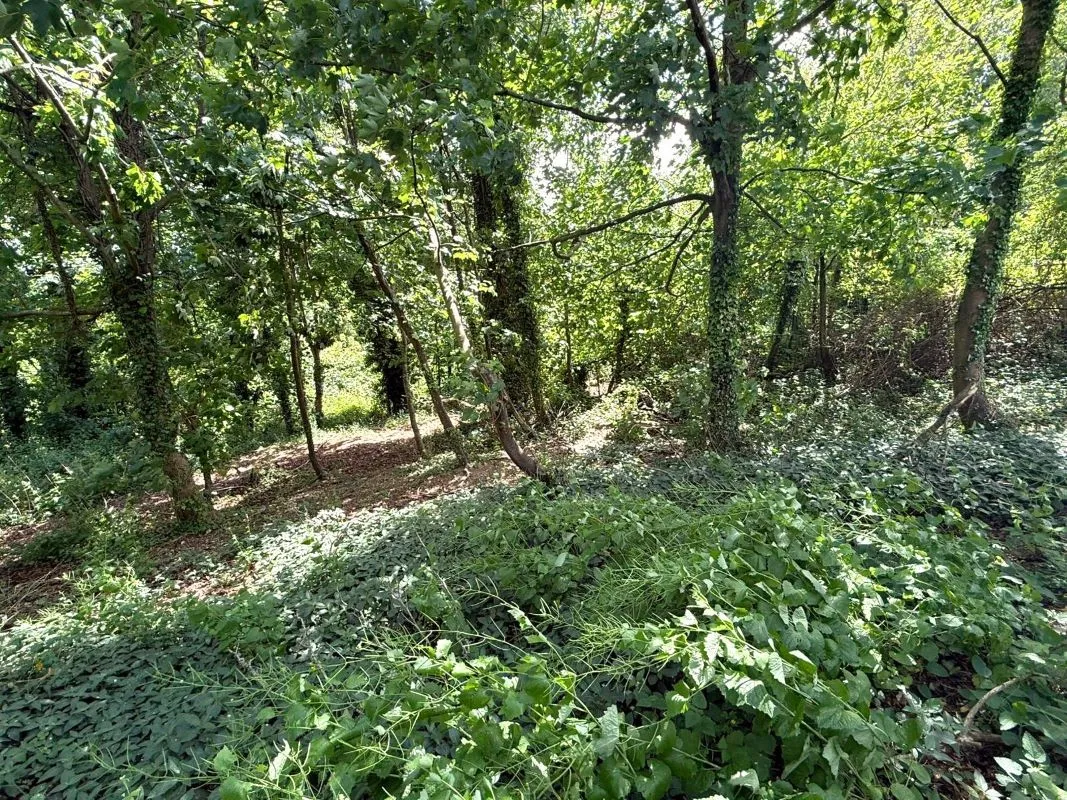 Tidworth Road, Salisbury, Wiltshire, SP4 0BN - Online Auctions