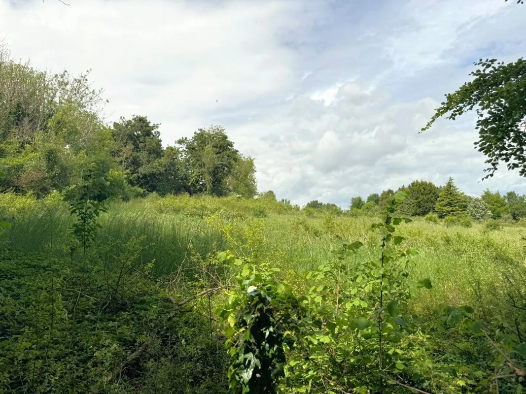 Tidworth Road, Salisbury, Wiltshire, SP4 0BN - Online Auctions
