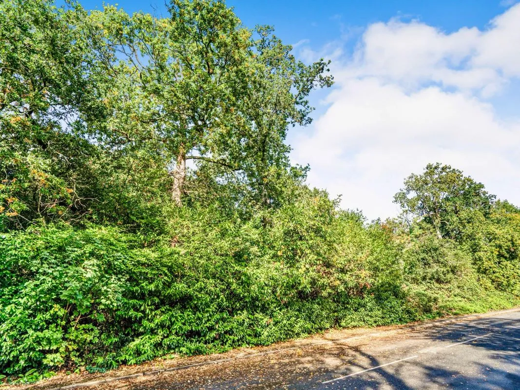 Old Portsmouth Road, Camberley, Surrey, GU15 1JJ - Online Auctions