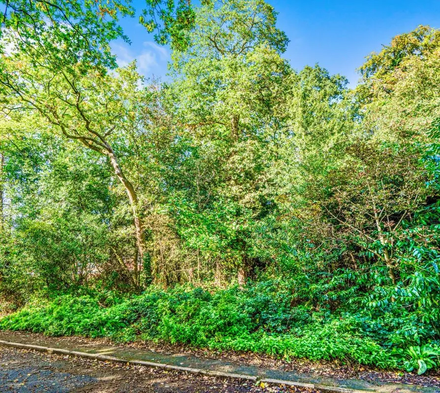 Old Portsmouth Road, Camberley, Surrey, GU15 1JJ - Online Auctions