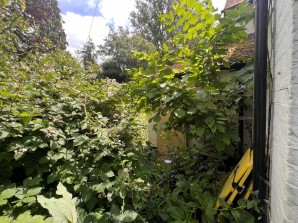 Property for Auction in Sussex & Hampshire