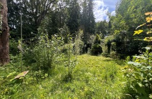 Property for Auction in Sussex & Hampshire
