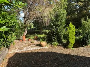 Property for Auction in Sussex & Hampshire - Toat Cottage, Toat Lane, Pulborough, West Sussex