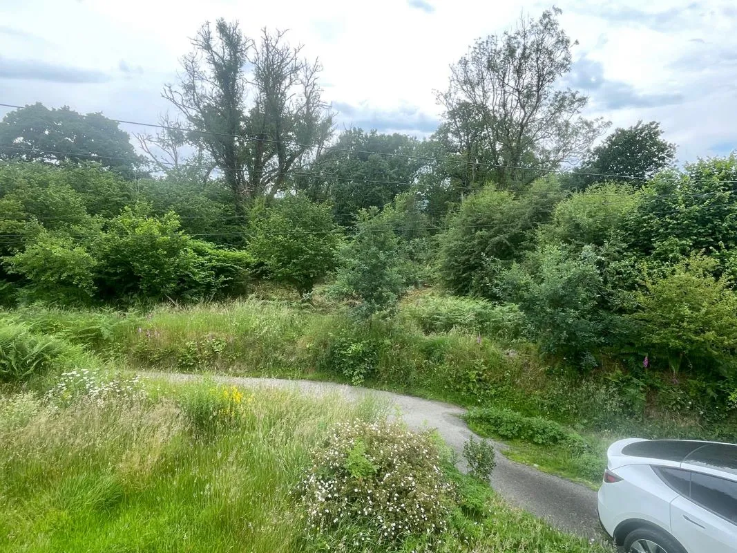 Rhandirmwyn, Llandovery, Carmarthenshire, SA20 0NS - Online Auctions