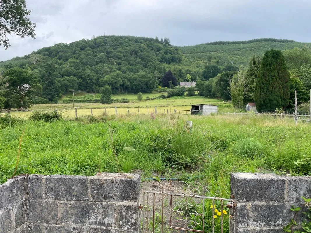 Rhandirmwyn, Llandovery, Carmarthenshire, SA20 0NS - Online Auctions