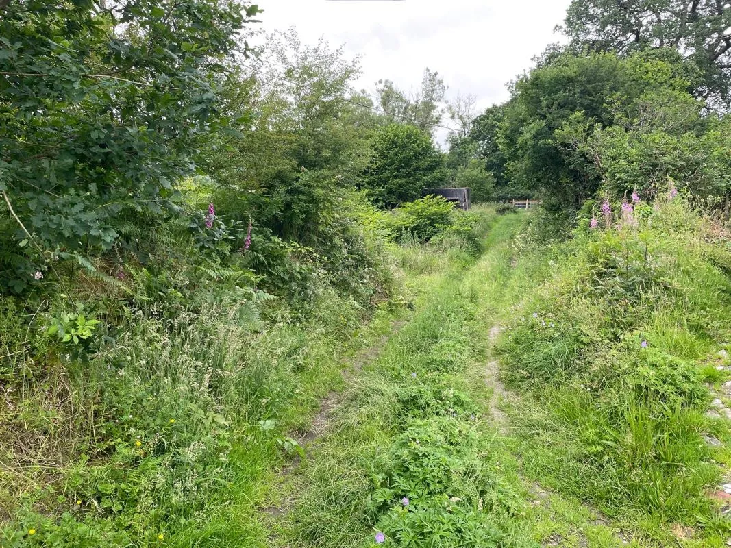 Rhandirmwyn, Llandovery, Carmarthenshire, SA20 0NS - Online Auctions