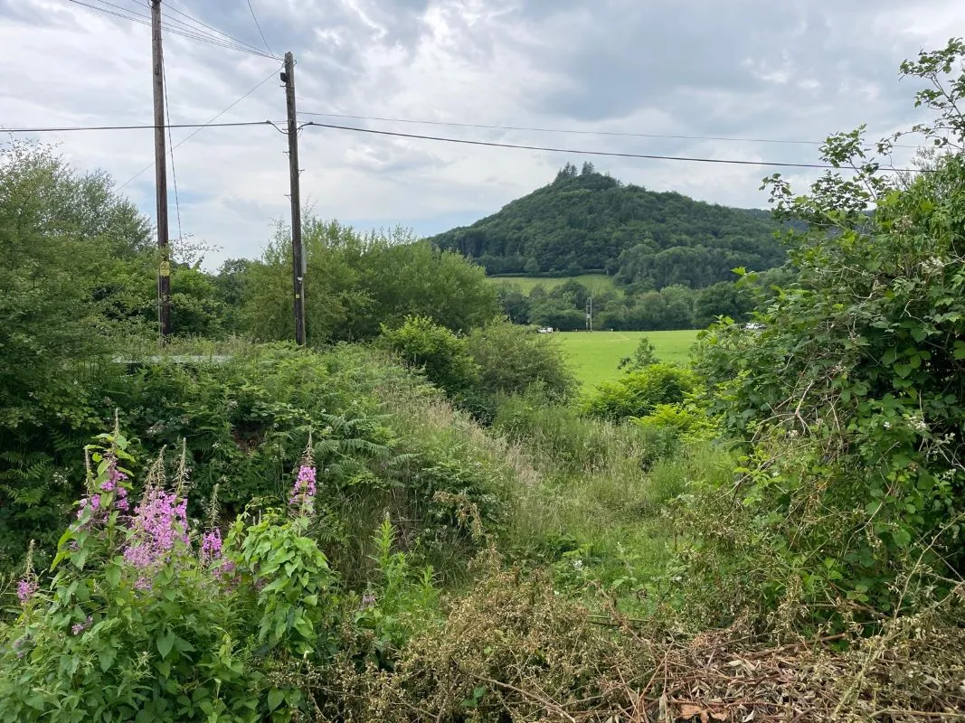 Rhandirmwyn, Llandovery, Carmarthenshire, SA20 0NS - Online Auctions