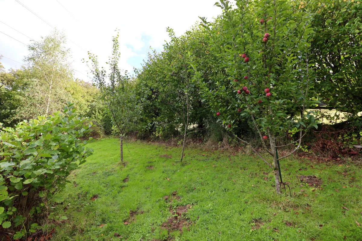 Wenallt Road, Cardiff, CF83 1NB - Online Auctions