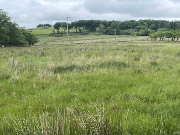 Property for Auction in Wales - Glancrwys, Llanfair Clydogau, Lampeter, Ceredigion SA48 8LL