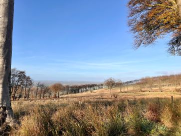 Property for Auction in Wales - Glancrwys, Llanfair Clydogau, Lampeter, Ceredigion SA48 8LL