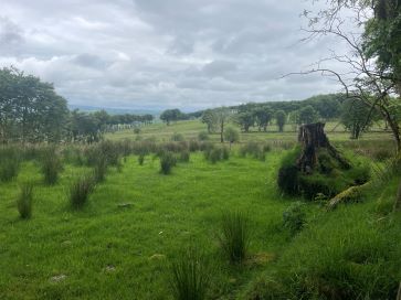 Property for Auction in Wales - Glancrwys, Llanfair Clydogau, Lampeter, Ceredigion SA48 8LL