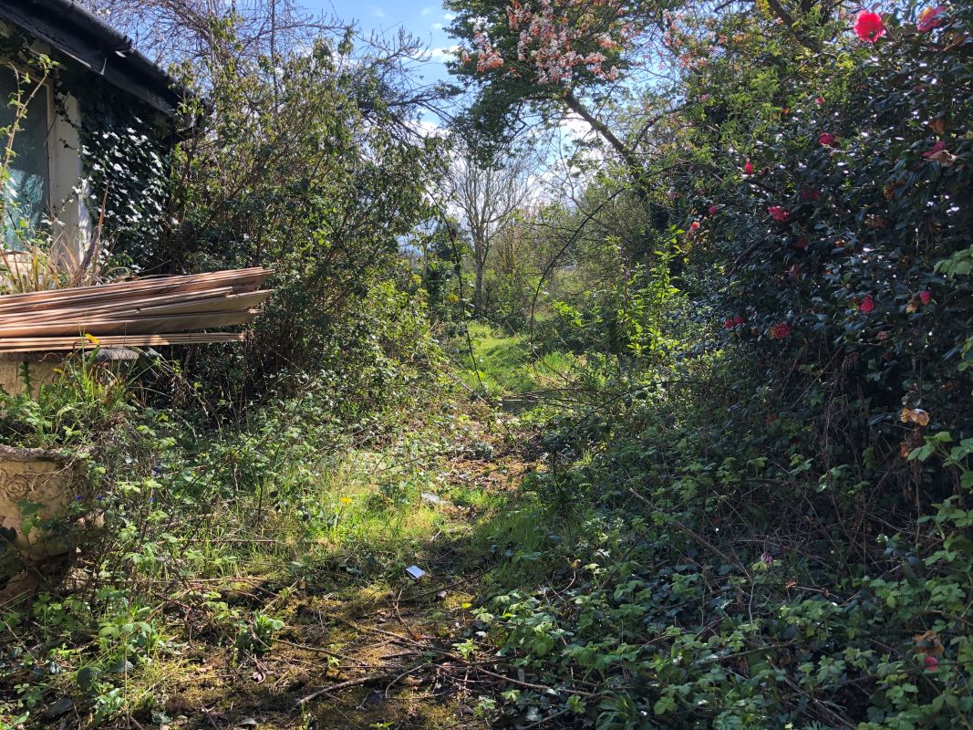 Penrhiw, St Dogmaels, Pembrokeshire, SA43 3HH - Online Auctions