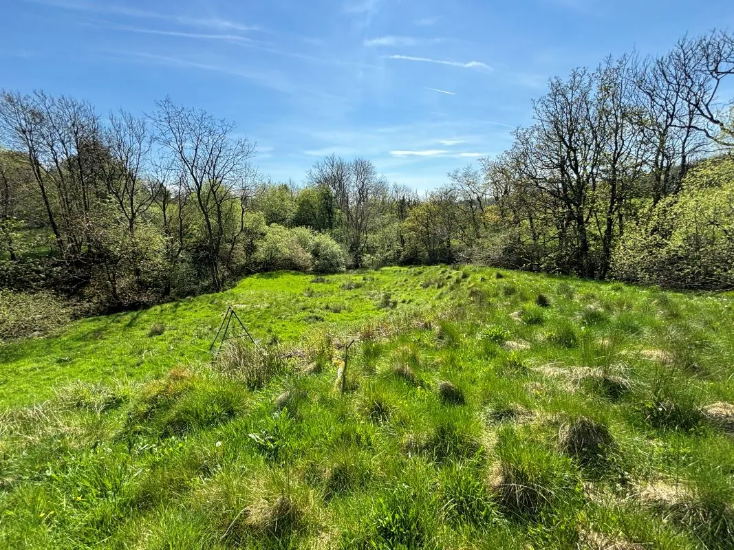 Bwlchllan, Lampeter, Dyfed, SA48 8QN - Online Auctions