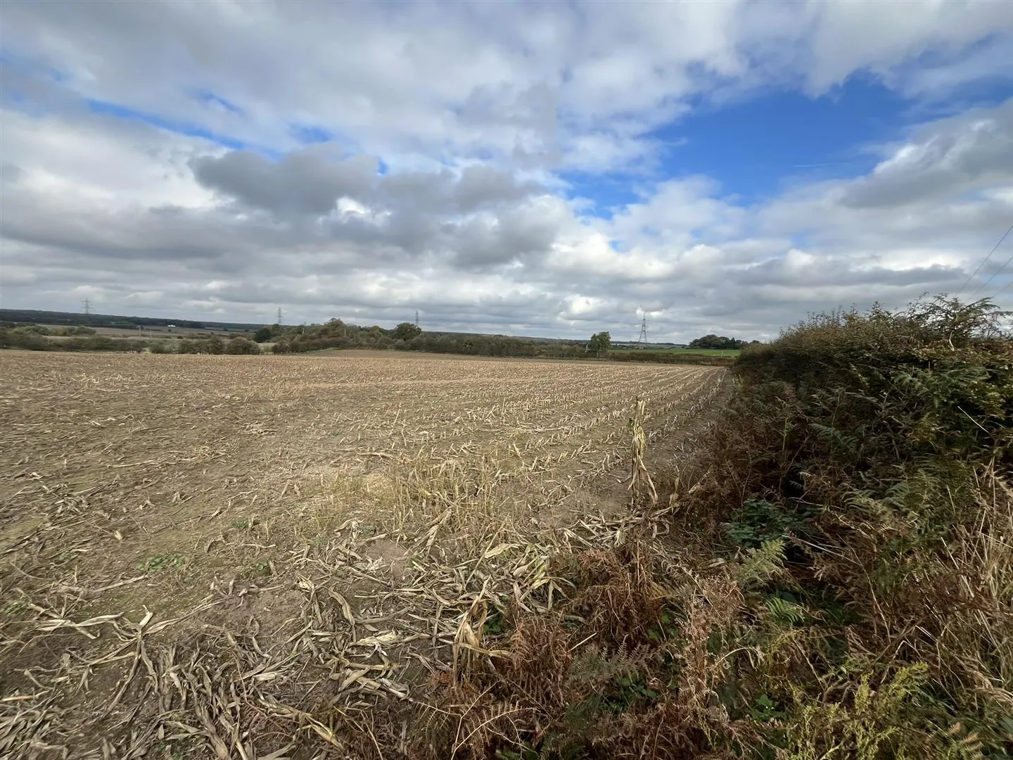 Lot A Land off the B6030, Forestry Holdings, Kings Clipstone, Mansfield, NG21 9JL