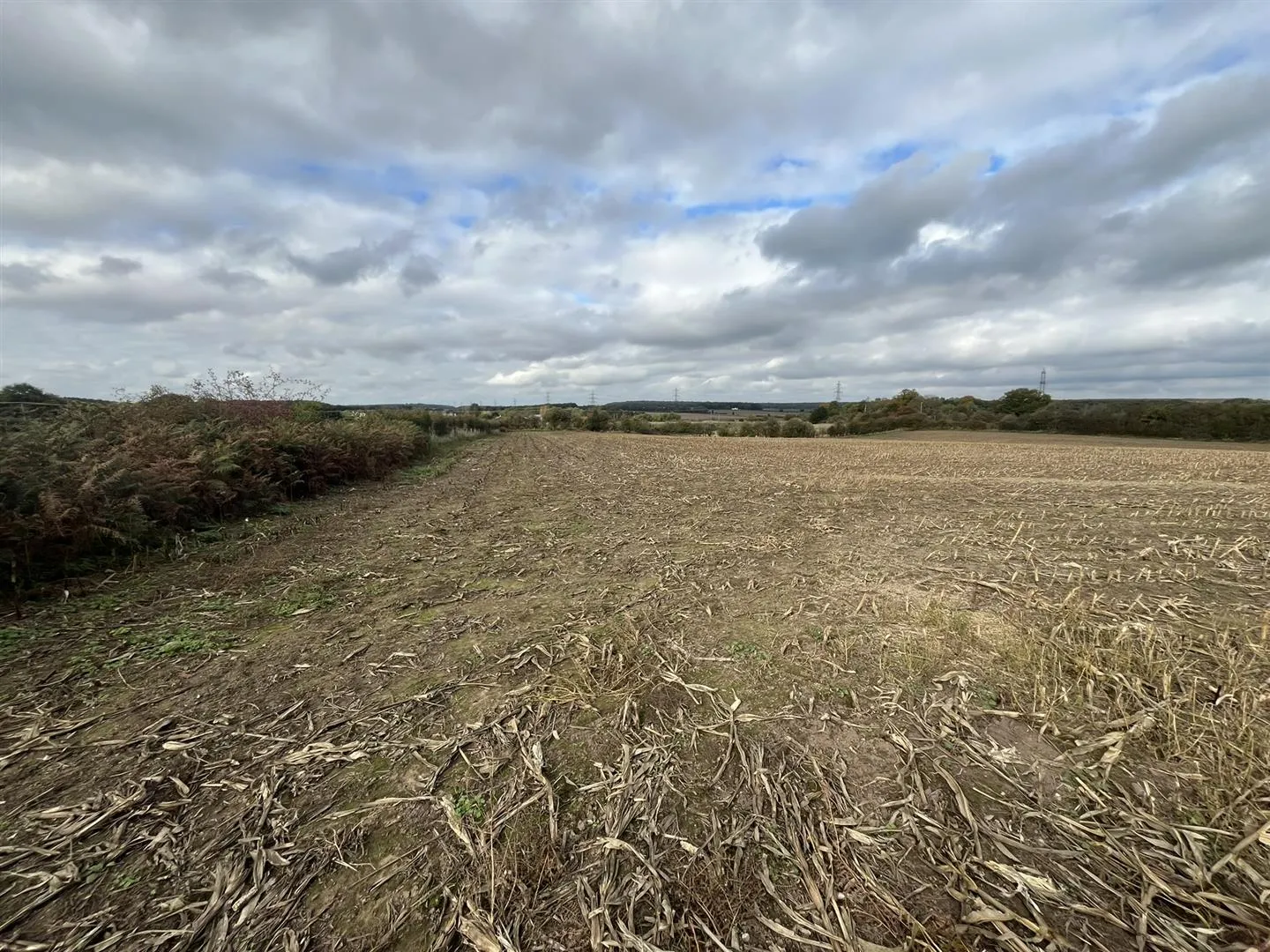 Lot A Land off the B6030, Forestry Holdings, Kings Clipstone, Mansfield, NG21 9JL